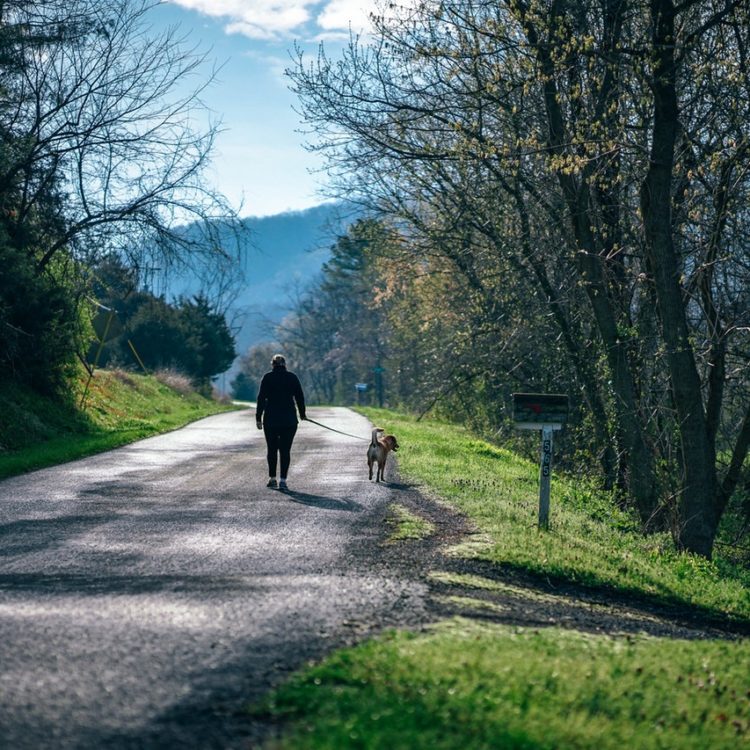 The One Thing You Should Do Each Day To Feel Healthier And Happier